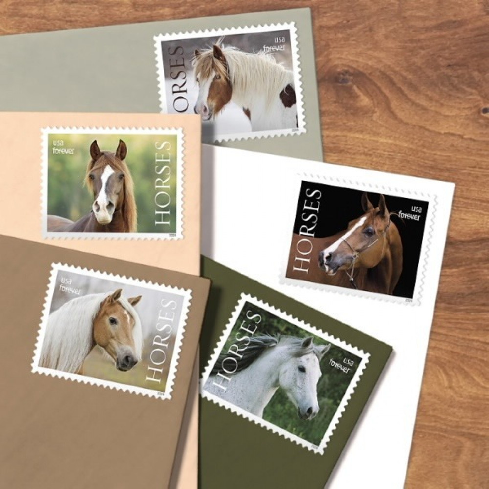 2024 Horses Stamps forever stamps